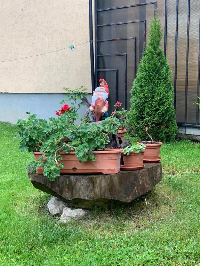 Like Home Rasnov Exterior foto