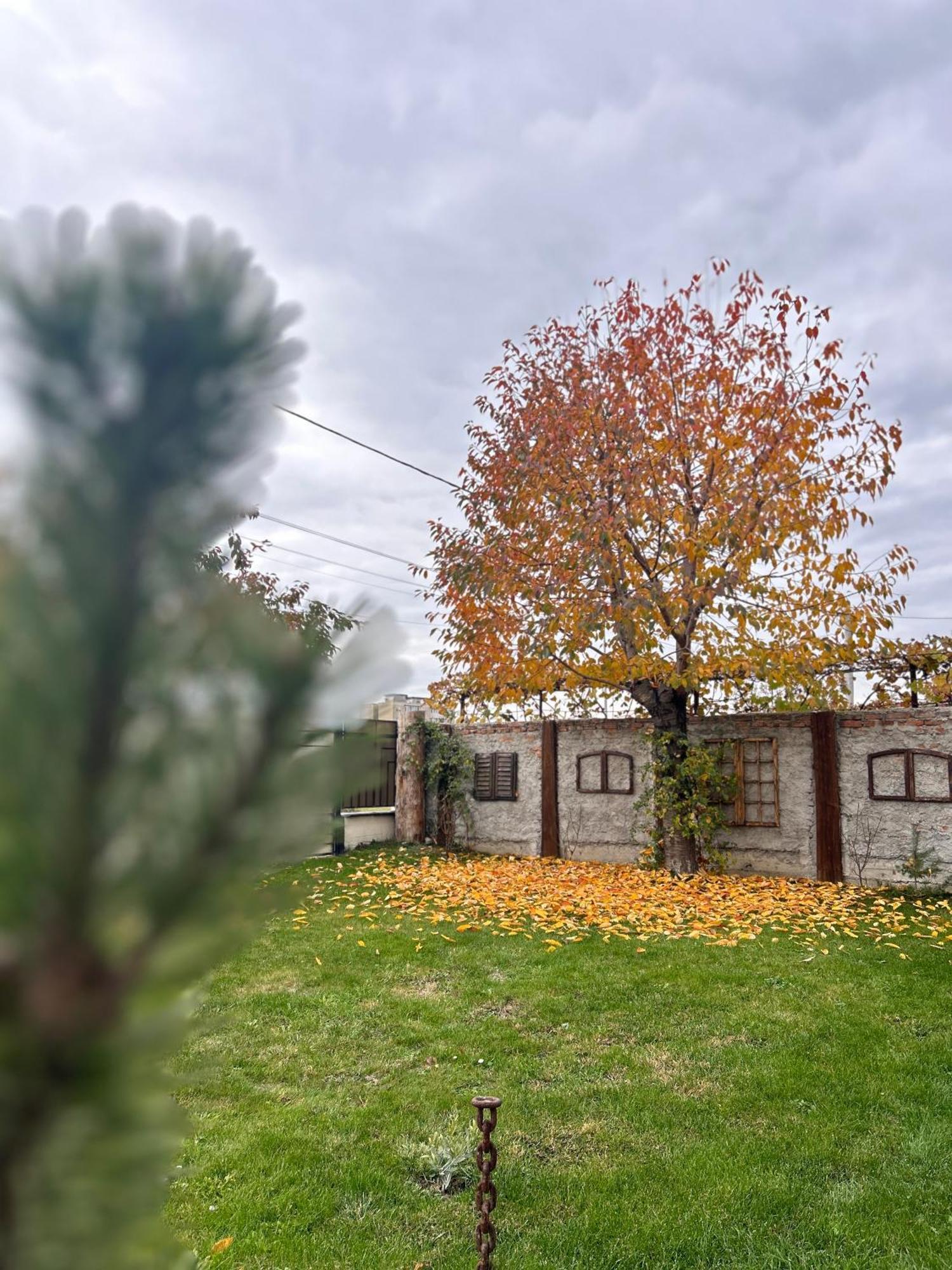 Like Home Rasnov Exterior foto